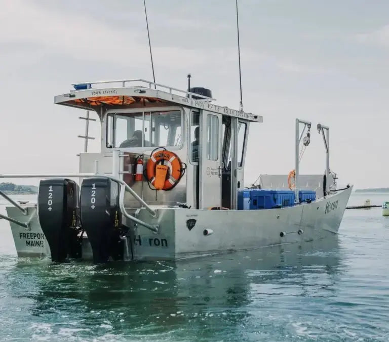 Commercial Electric Boats