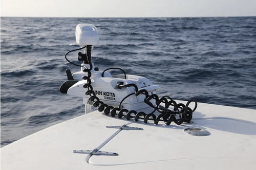 Electric Trolling Motors