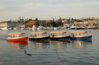 Four Duffy Bay Island 22 Electric Boats with canopies docked in a marina with buildings and palm trees in the background.
