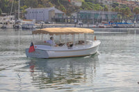 Duffy Cuddy Cabin 22 Electric Boat with a canopy on a calm body of water with buildings and boats in the background.