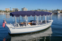 Duffy Snug Harbor 18 Electric Boat with a purple canopy on a body of water with buildings in the background