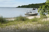 Elvene Amber Solar Electric Boat on a dock by a lake with trees in the background
