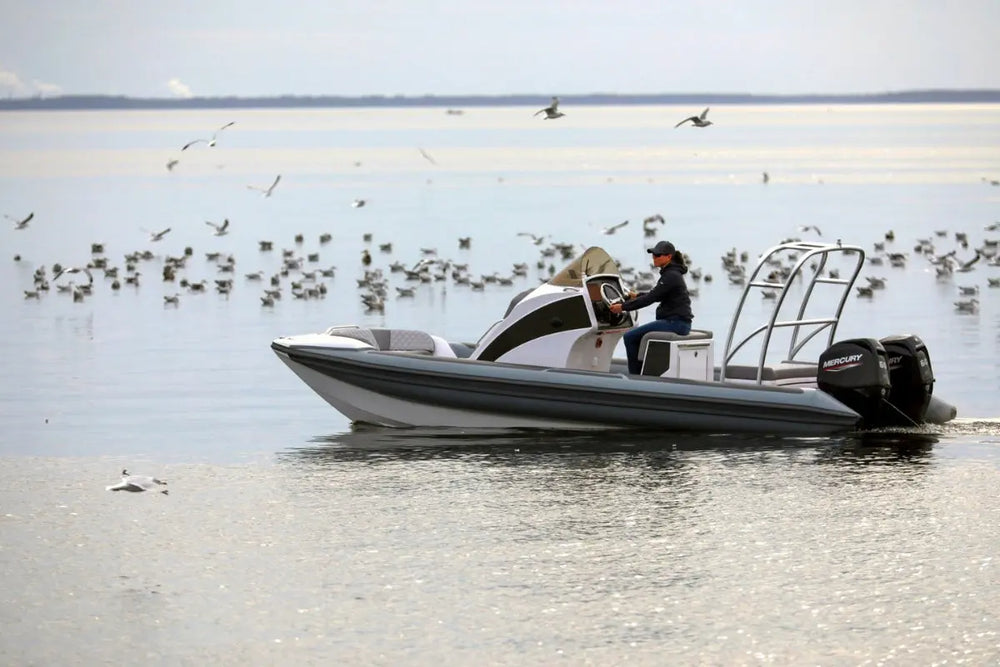 Hyfoil 22 Electric Boat on water with people and seagulls in the background