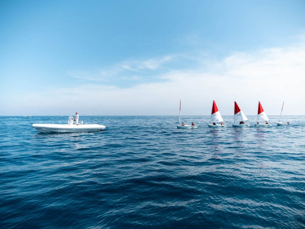 Vita Power Seal Electric Boat