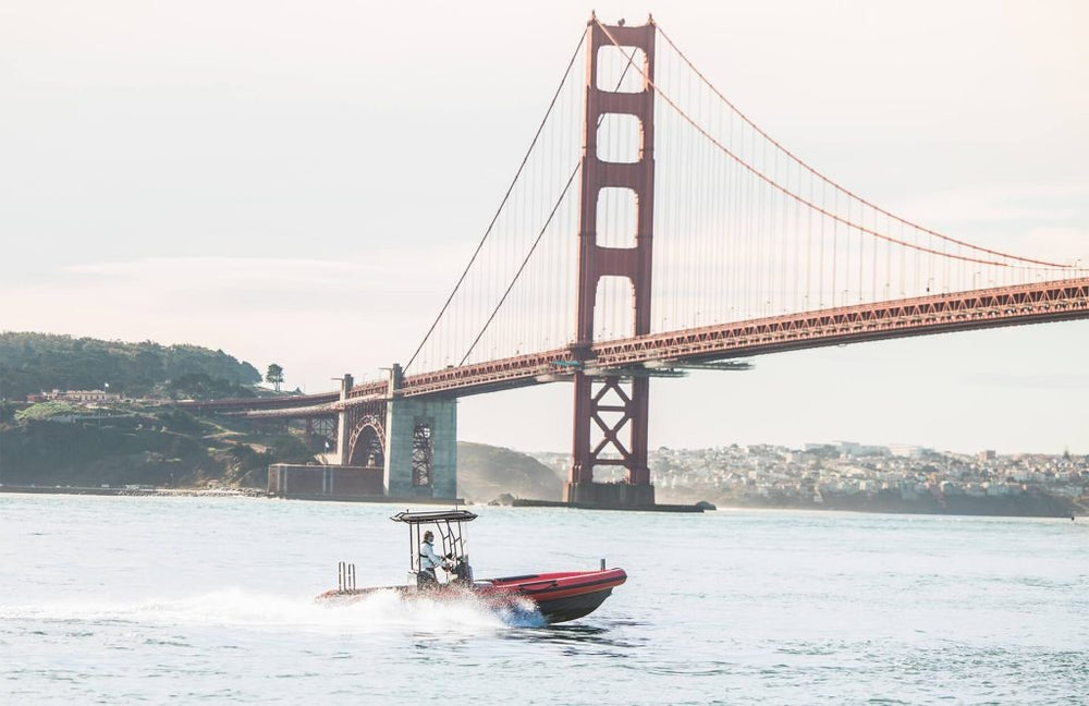 Vita Power Seal Electric Boat