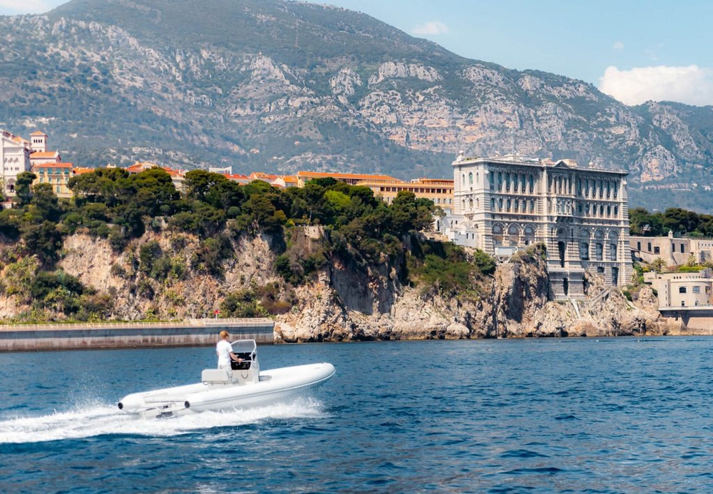 Vita Power Seal Electric Boat