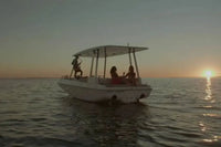 sun_concept_evo_7_cruise_electric_boat